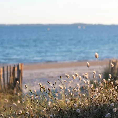 Les Galiotes-3 By Interhome Apartment *